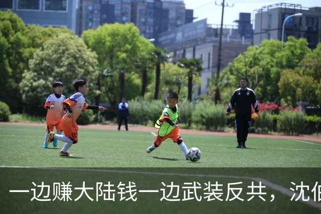 一边赚大陆钱一边武装反共，沈伯洋的嚣张到底是谁惯出来的？