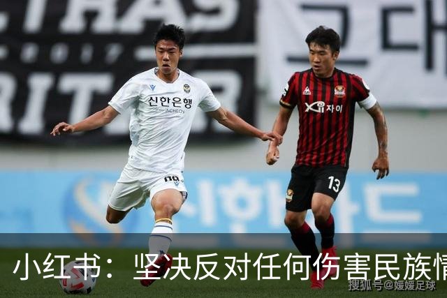 小红书：坚决反对任何伤害民族情感的行为，与姆巴佩内容合作已于2024年12月31日结束，目前正持续核查并下架相关物料