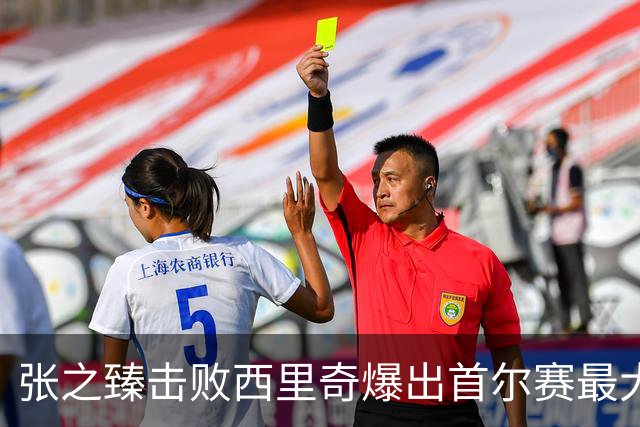 张之臻击败西里奇爆出首尔赛最大冷门，德约披露出战巴塞尔原因