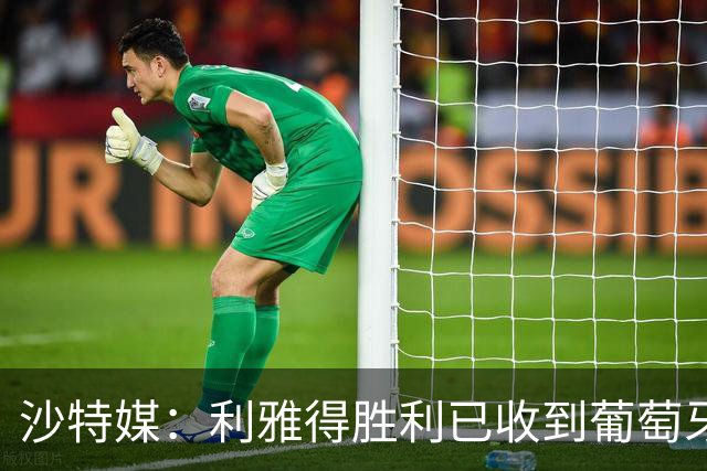 沙特媒：利雅得胜利已收到葡萄牙的信函，将征召C罗入选国家队