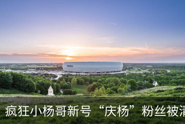 疯狂小杨哥新号“庆杨”粉丝被清零