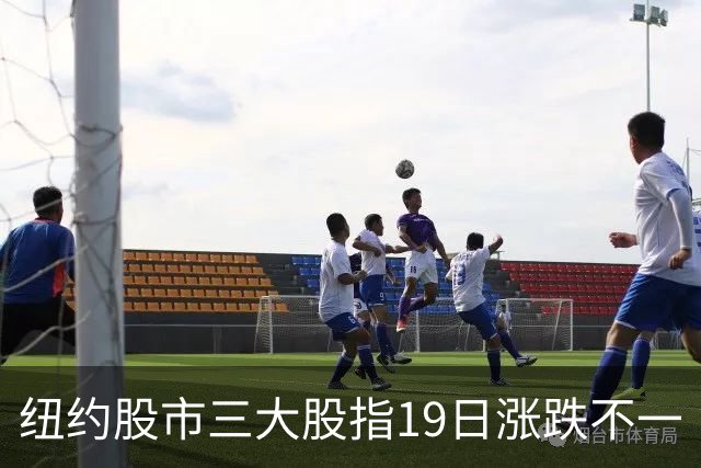 纽约股市三大股指19日涨跌不一