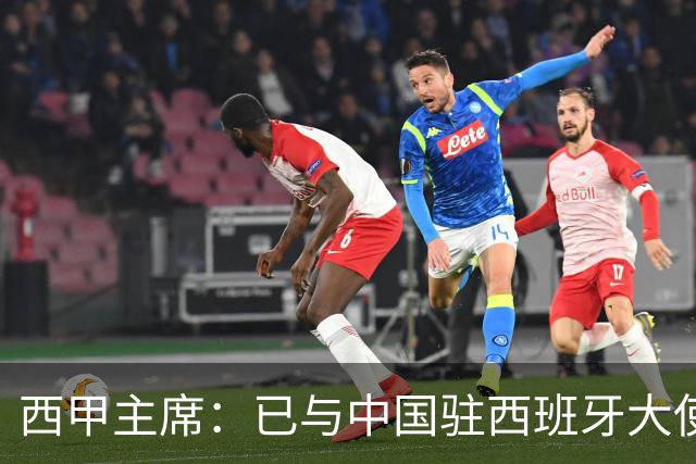 西甲主席：已与中国驻西班牙大使会面 寻求解决办法