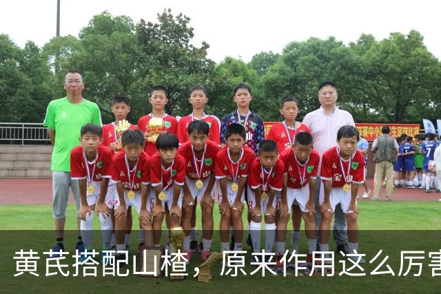 黄芪搭配山楂，原来作用这么厉害，很多人却不知道，建议收藏备用